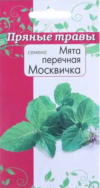 Семена Мяты Купить